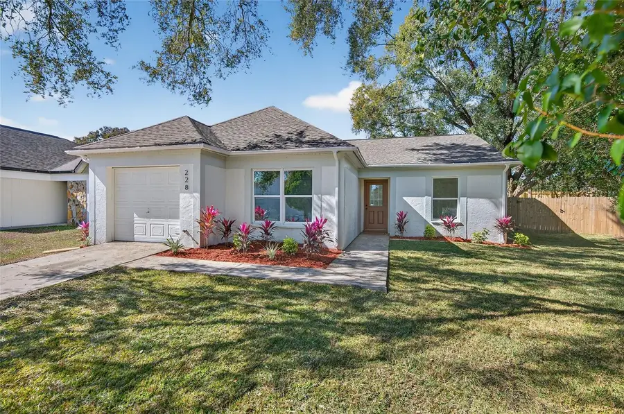 228 Regal Park Drive, Valrico, FL 33594 - Image #2