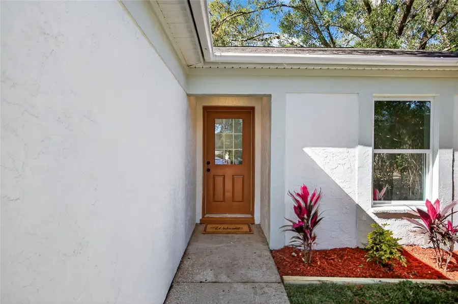 228 Regal Park Drive, Valrico, FL 33594 - Image #3