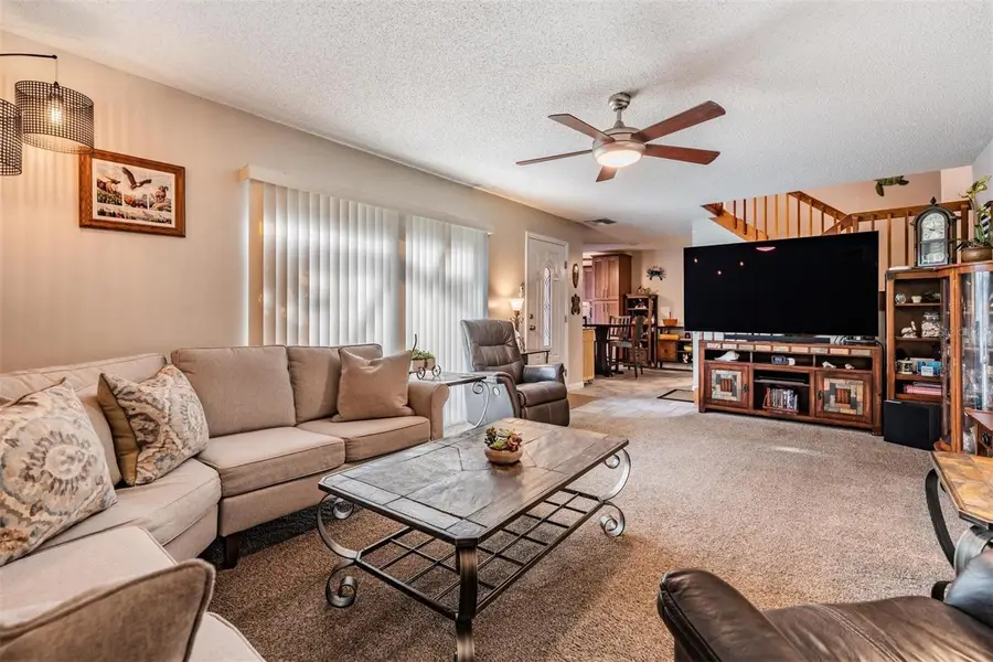 2634 10th Court, Palm Harbor, FL 34684 - Image #3