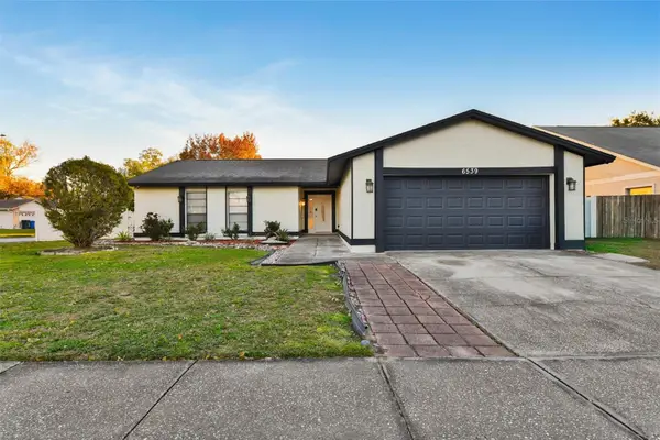 6539 Seafairer Drive, TAMPA, FL 33615