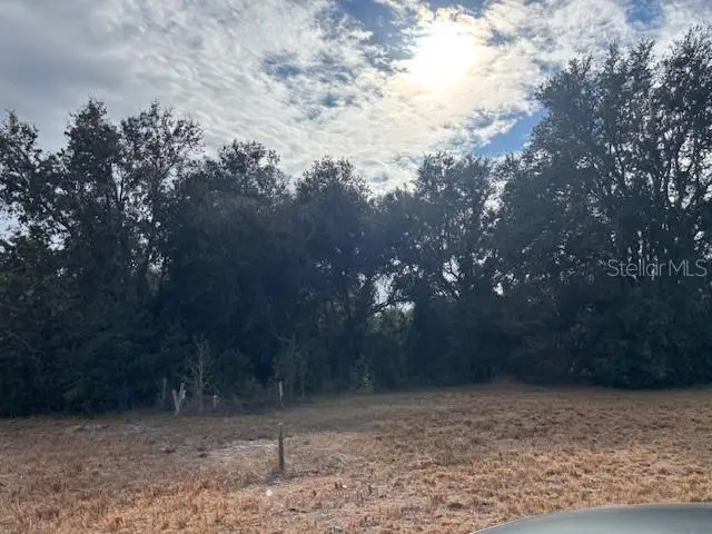 10611 Sumner Road, Wimauma, FL 33598 - Image #2