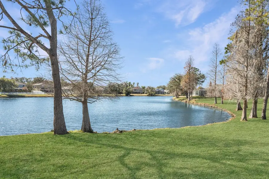 5837 Heronpark Place, Lithia, FL 33547 - #3