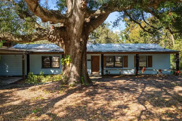 1715 W Overpar Drive, TAMPA, FL 33612