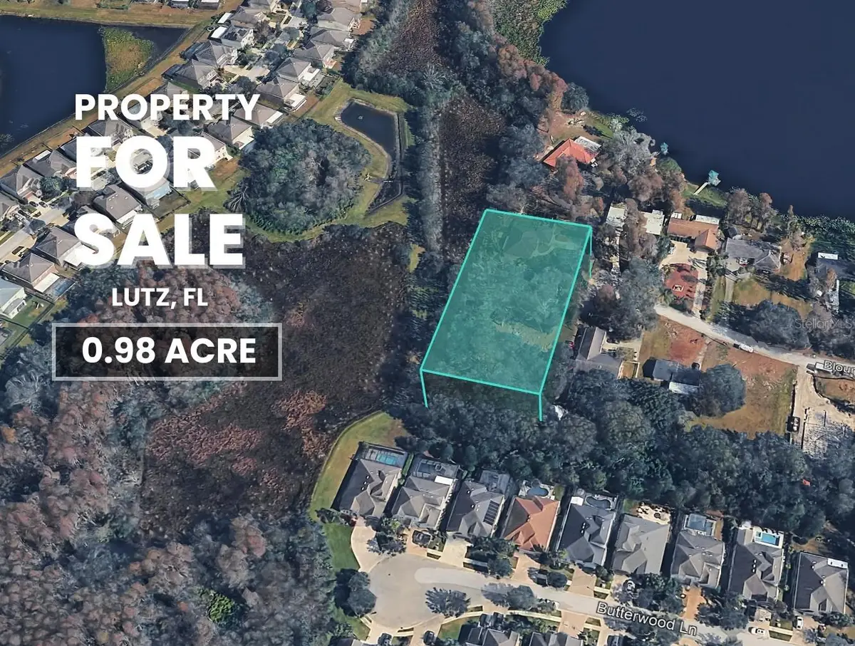 Blount Road, Lutz, FL 33558 - Image #1