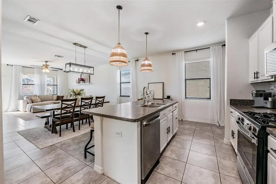 21101 Wistful Yearn Drive, Land O Lakes, FL 34637 - #3