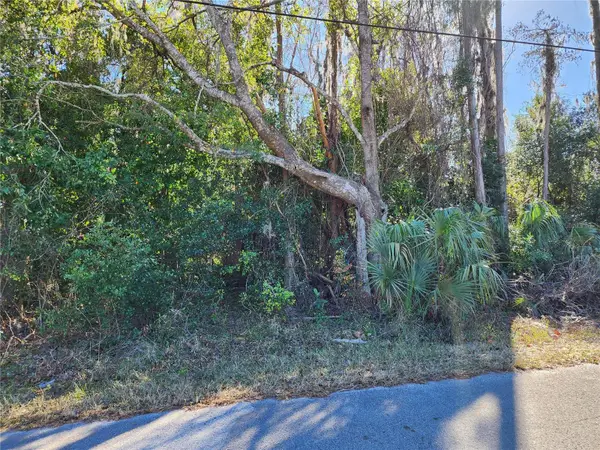 12716 Poppy Street, NEW PORT RICHEY, FL 34654