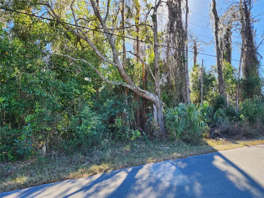 12716 Poppy Street, New Port Richey, FL 34654 - Image #3