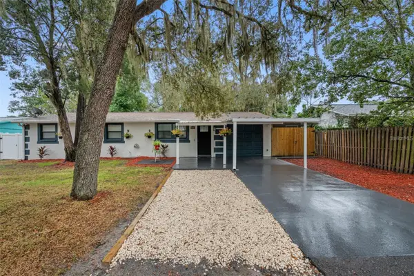 11115 Stafford Lane, RIVERVIEW, FL 33578