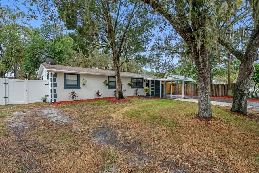 11115 Stafford Lane, Riverview, FL 33578 - Image #3