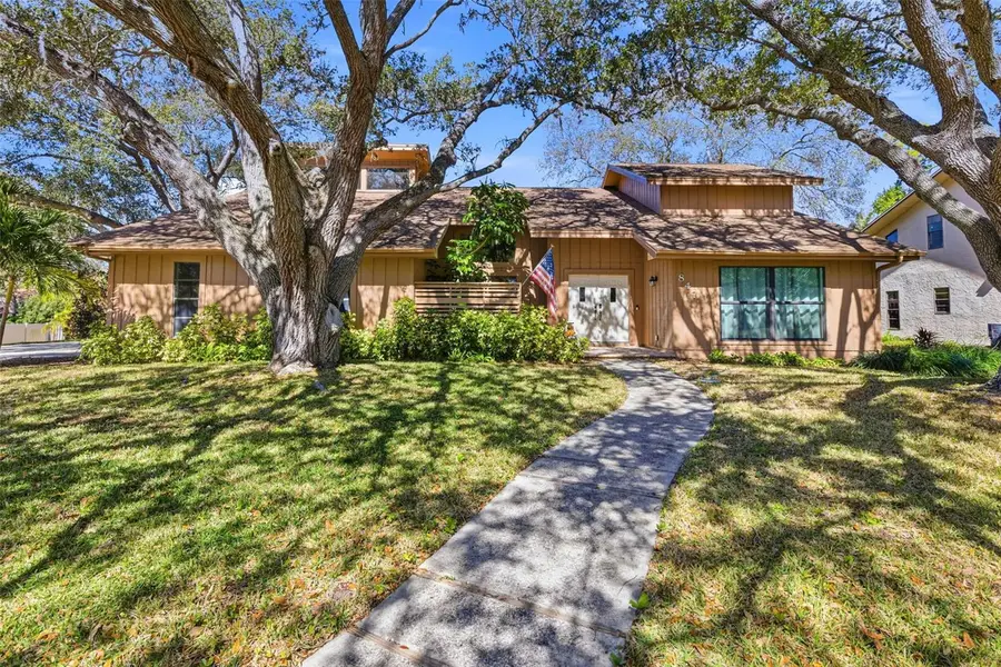 847 Hillside Drive, Palm Harbor, FL 34683 - #3