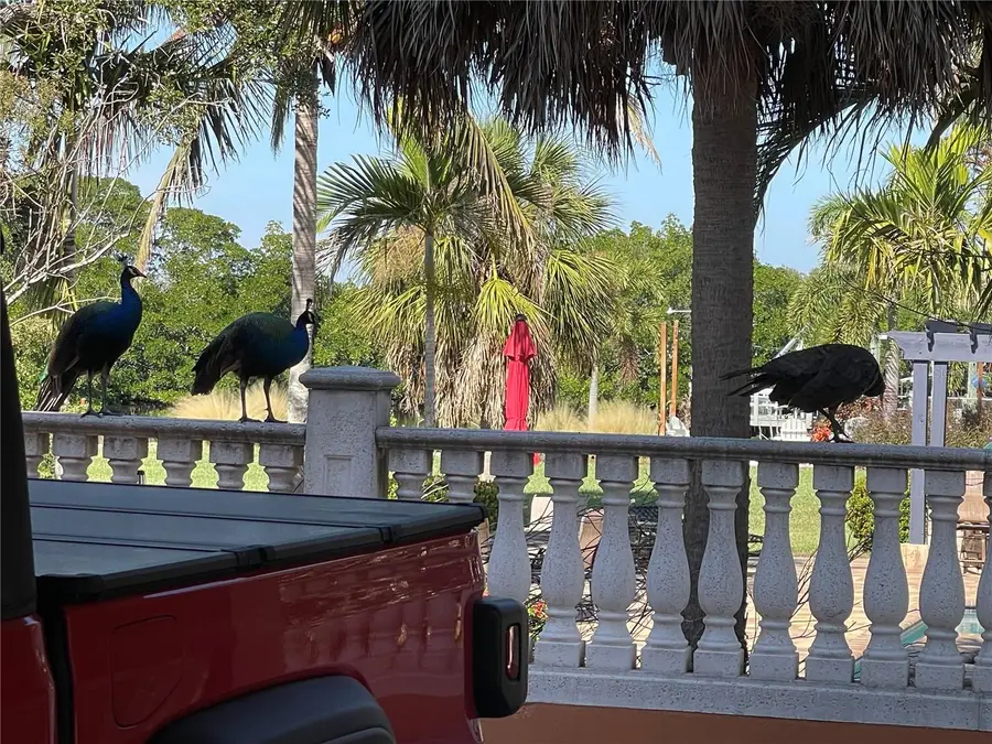 9017 Baywood Park Drive, Seminole, FL 33777 - #3