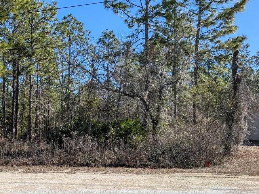 15252 Coot Road, Brooksville, FL 34614 - #2