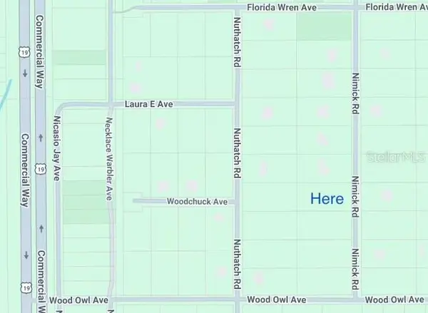 17467 Nimick Road, WEEKI WACHEE, FL 34614