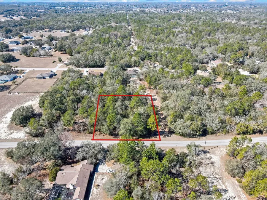 3292 N Annapolis Avenue, Hernando, FL 34442 - #3