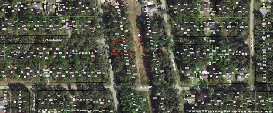 913 N Rooks Avenue, Inverness, FL 34453 - Image #2