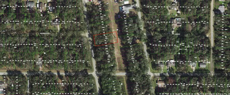 913 N Rooks Avenue, Inverness, FL 34453 - Image #3