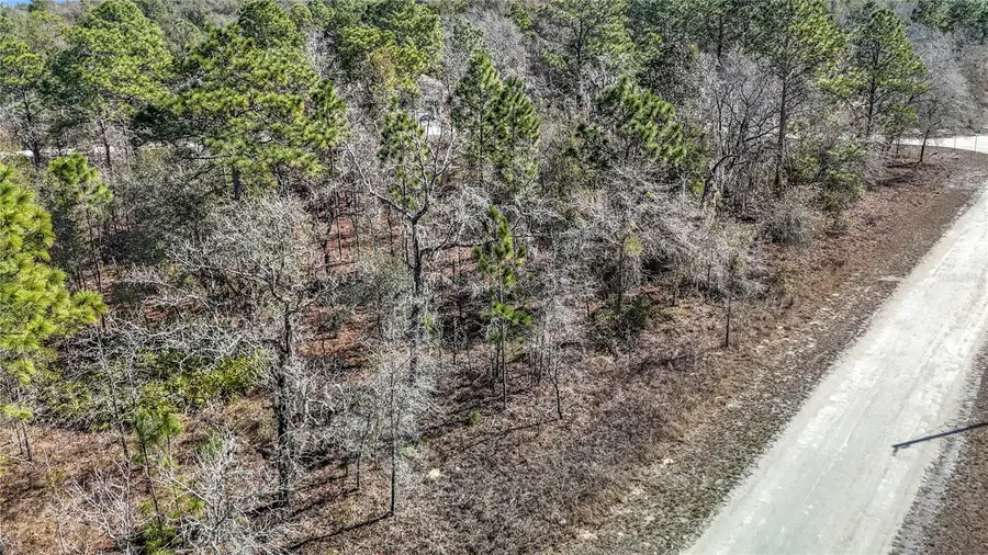 16070 Sheldrake Loop, Weeki Wachee, FL 34614 - #3