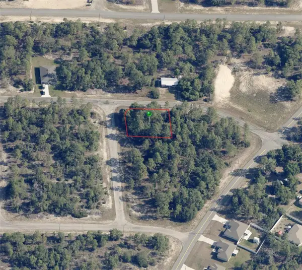 10429 N Vicki Terrace, DUNNELLON, FL 34433