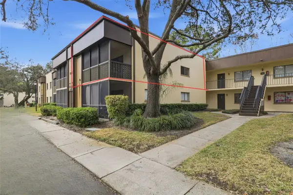 11808 Raintree Lake Lane #C, TAMPA, FL 33617