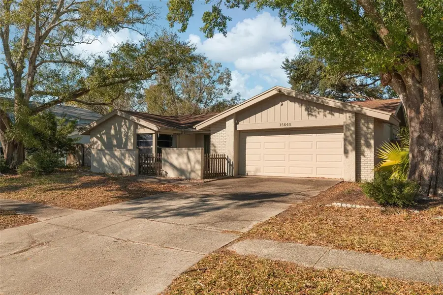 15648 Bear Creek Drive, Tampa, FL 33624 - #3