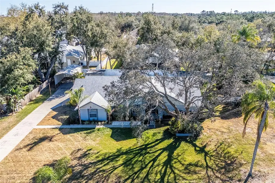 15912 Armistead Lane, Odessa, FL 33556 - #3