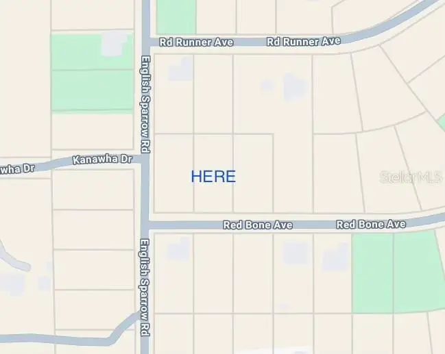 13189 Red Bone Avenue, Weeki Wachee, FL 34614 - #1