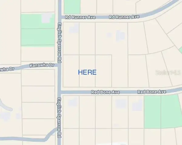 13189 Red Bone Avenue, WEEKI WACHEE, FL 34614