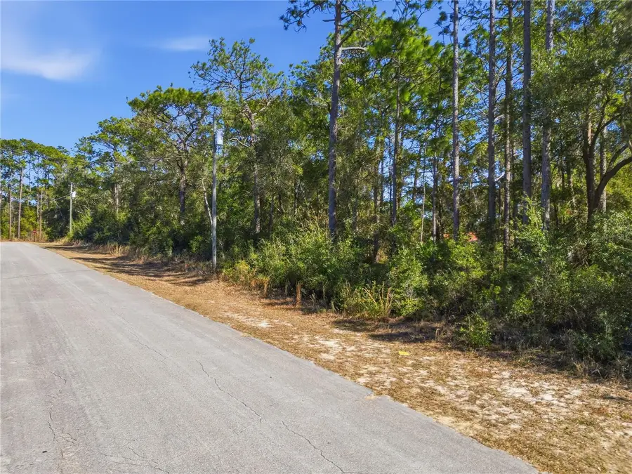 2780 W Elgin Place, Citrus Springs, FL 34434 - #2