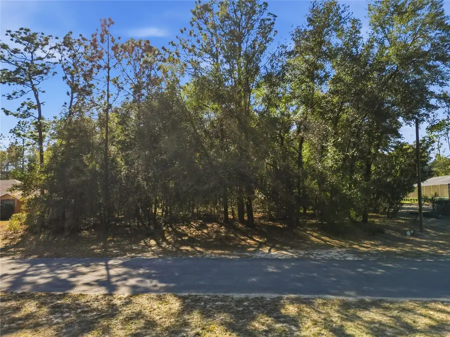 8420 N Foresome Way, Citrus Springs, FL 34434 - #2