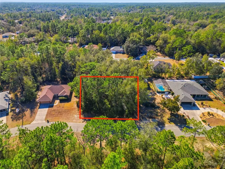 8420 N Foresome Way, Citrus Springs, FL 34434 - #3