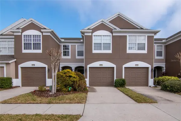 10132 Pink Palmata Court, RIVERVIEW, FL 33578