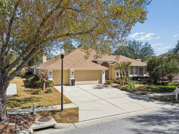 17503 Edinburgh Drive, TAMPA, FL 33647