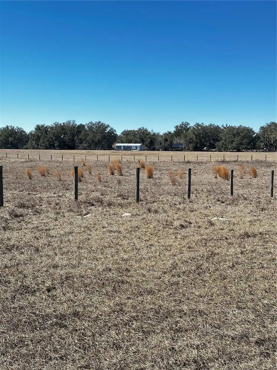 Cr 707 Road, Webster, FL 33597 - #3