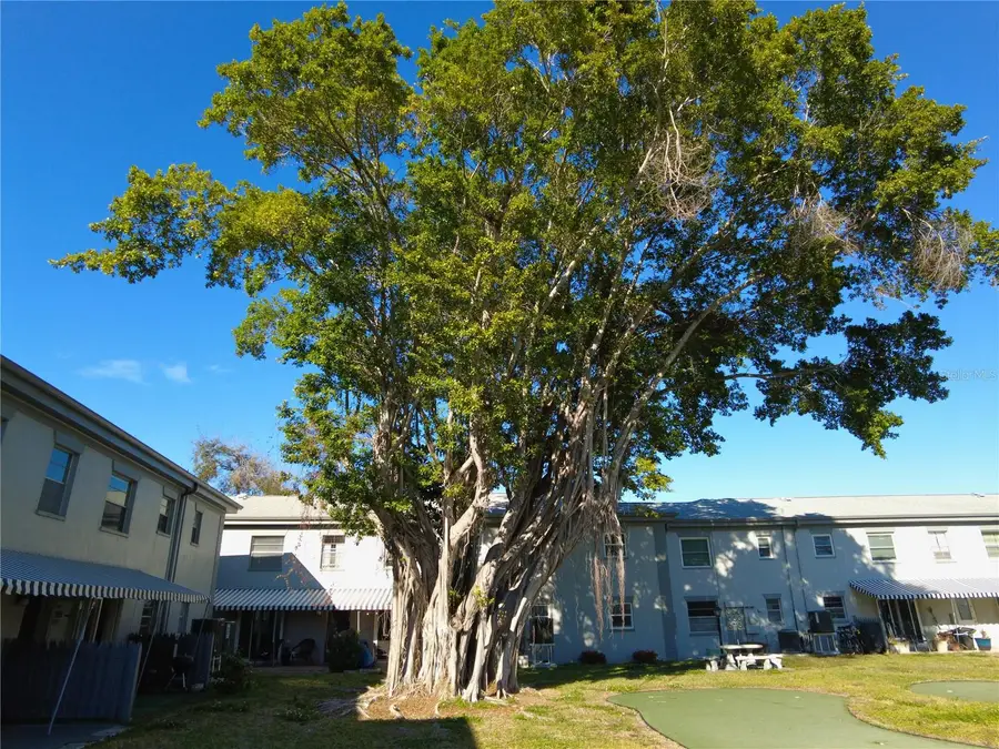 6930A Place De La Paix #2B, South Pasadena, FL 33707 - Image #3