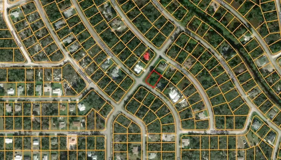 440 Garfield Avenue Ne, Lake Placid, FL 33852 - Image #2