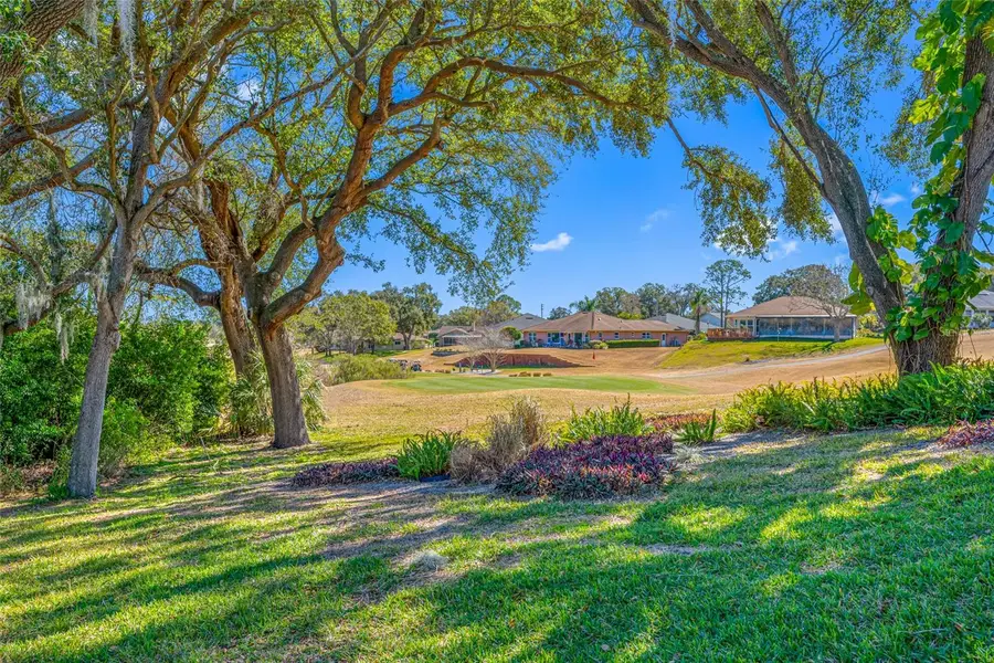 1611 Highland Club Lane, Palm Harbor, FL 34684 - #3