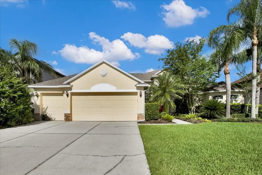 26451 Shoregrass Drive, Wesley Chapel, FL 33544 - #2