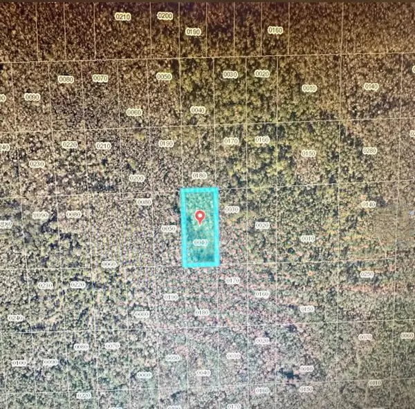 No Street, LAKE HELEN, FL 32744