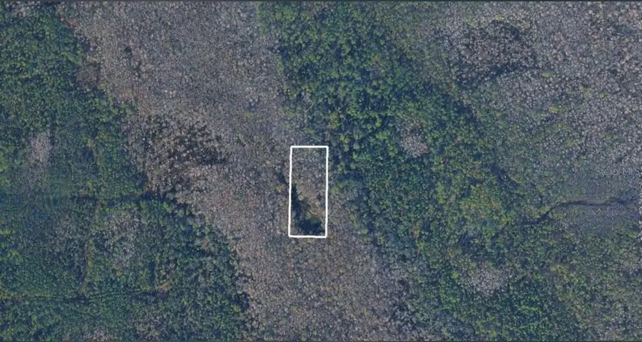 No Street, Lake Helen, FL 32744 - #2