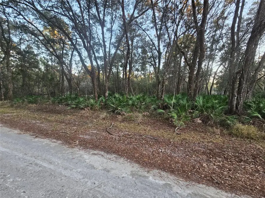 Rosehill Drive, Webster, FL 33597 - #2