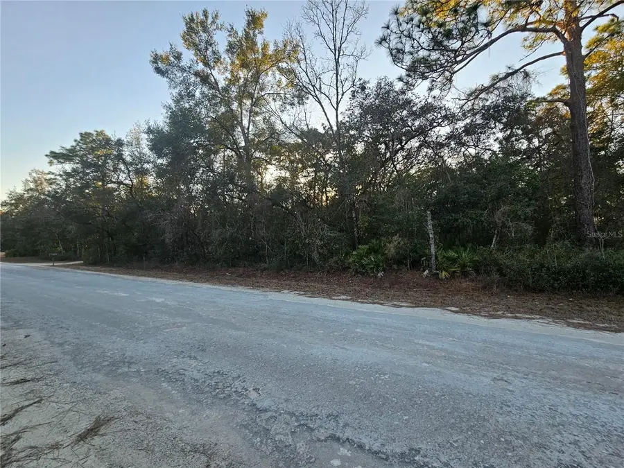 0 Atwood Drive, Webster, FL 33597 - #2