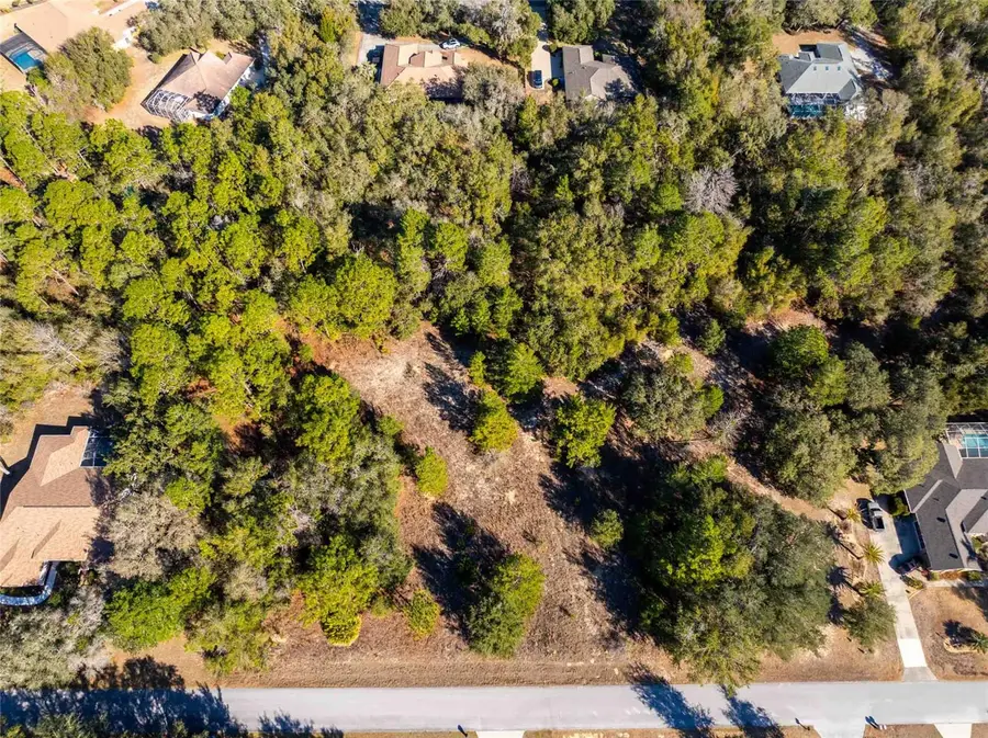 1737 E Westgate Lane, Hernando, FL 34442 - #2