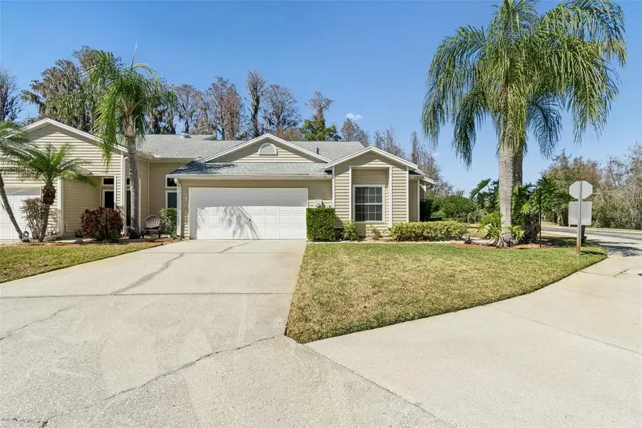 1745 Heron Cove Drive, Lutz, FL 33549 - Image #2