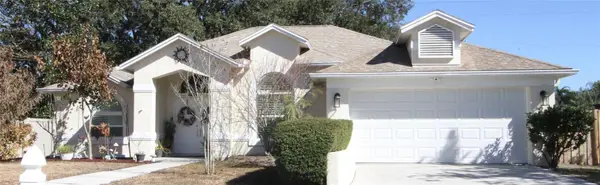 1414 Norwick Drive, LUTZ, FL 33559