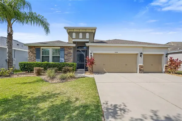 11504 Harlan Eddy Court, RIVERVIEW, FL 33579