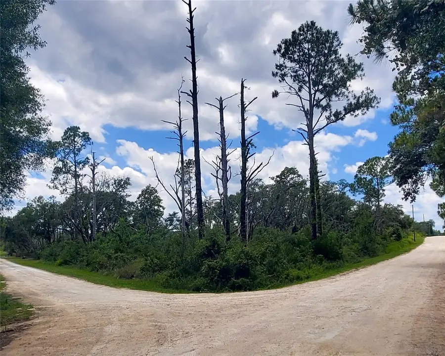 Coral Rock Drive, Webster, FL 33597 - #2