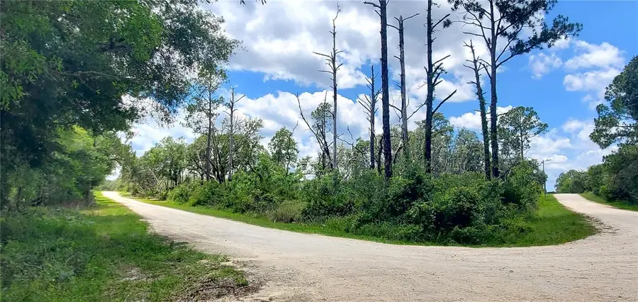 Coral Rock Drive, Webster, FL 33597 - #3