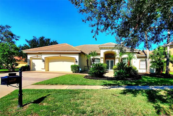 10004 Tree Tops Lake Road, TAMPA, FL 33626