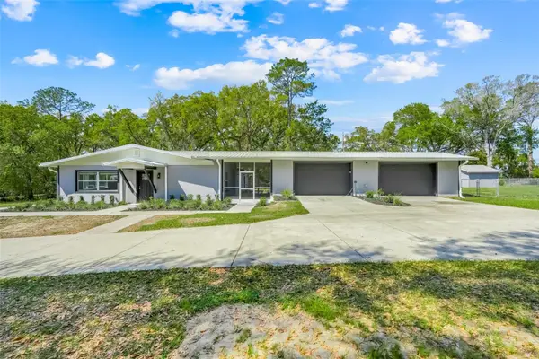 311 Griffin View Drive, LADY LAKE, FL 32159