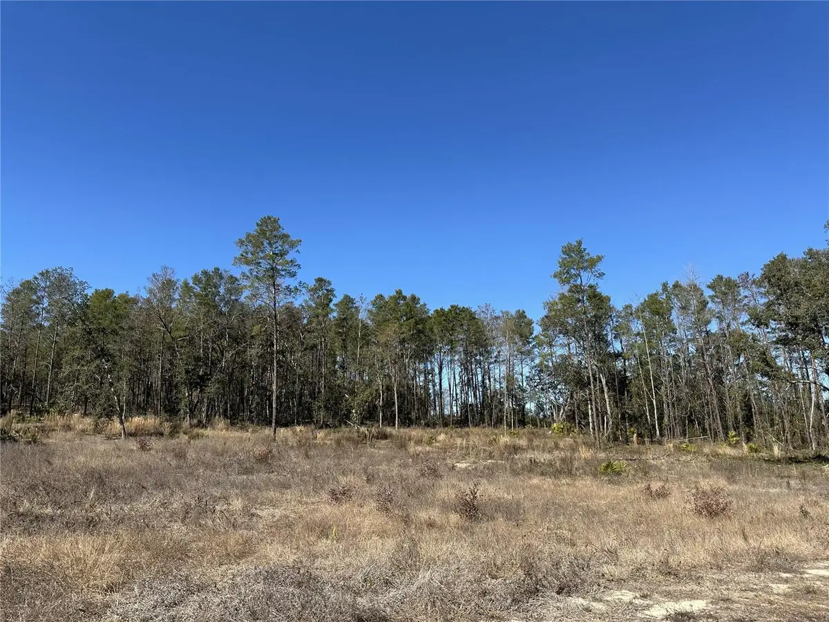 13331 Haven Trail, Weeki Wachee, FL 34614 - #1